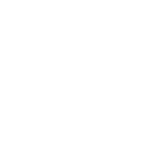 Diamond Service